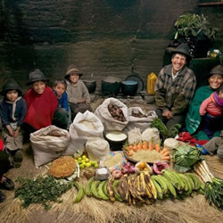 从家庭食物照看世界各地饮食文化与贫富差距