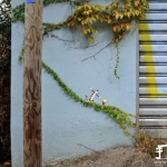 现实与创意涂鸦DIY的街头艺术