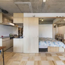 分区+平行视线 充分利用空间单身公寓装修