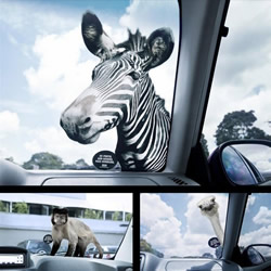 13个充满视觉冲击力的动物园创意广告