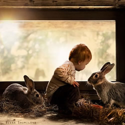 可爱小男孩跟动物们的温馨摄影作品欣赏
