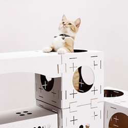 回收纸箱制成纸板 以积木概念打造幸福猫窝