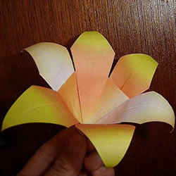 一张纸折百合花图解 简单又漂亮百合花折纸