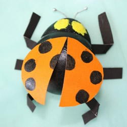 幼儿园制作七星瓢虫 乒乓球做瓢虫的方法
