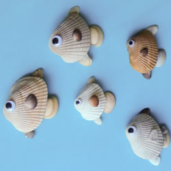 海边捡回的贝壳 手工拼贴可爱小鱼的图解教程