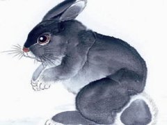 99年的兔是什么命 99年的兔和什么属相配