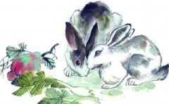 87年的兔是什么命 87年的兔和什么属相最配