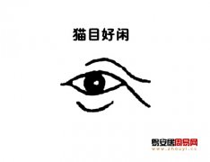普贤居课堂之眼型：猫眼面相图解
