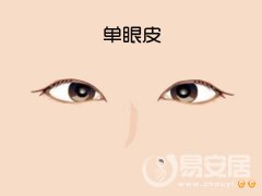 普贤居课堂之眼睛：单眼皮和双眼皮对比面相