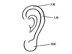普贤居课堂之耳朵：小耳朵面相解析