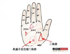 普贤居课堂教之掌纹图解：掌纹中的三角纹讲解