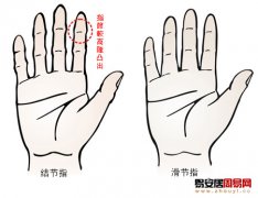 普贤居课堂教之手指算命：从手指指节的突出与平滑看你的性格