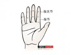 普贤居课堂教之手指算命：手的指关节和指节看相图解