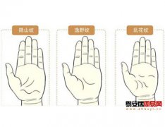 普贤居课堂教之掌纹图解：最罕见的掌纹手相算命图解