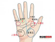 普贤居课堂教之手相：从掌纹和手型看适合你的职业