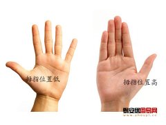 普贤居课堂教之手指算命：手相由拇指位置高低看天分
