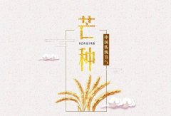 八字测算:生肖属兔的人芒种节气出生好不好？芒种有什么活动？