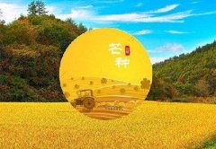 八字测算:2020年芒种节气寅时出生的宝宝命好不好，五行分析