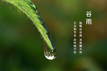 福州谷雨吃什么 这天要杀五毒吗