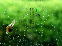 二十四节气之雨水养生