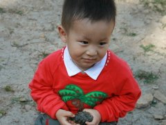 2016年猴年姓罗男孩应该如何起名