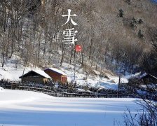 2017年大雪是几月几号