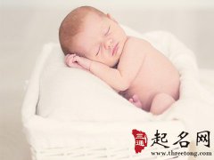 姓杨的男孩名字大全2018属狗