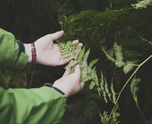 80岁依旧生龙活虎的人手相如何看