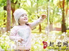 姓杨的女孩名字大全2018属狗