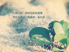 肚子上的痣对我们的人生有什么影响