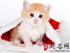 十二生肖中为什么没有猫