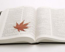 2019年励志成熟的女生QQ网名大全