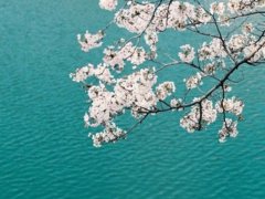 2019年文艺范的微信网名