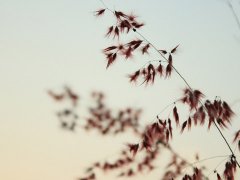 2019年最有古典风格的qq网名