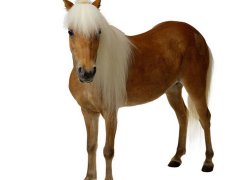 2019年古香古色的qq网名