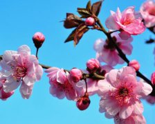2019年奇葩搞怪的女生QQ网名大全