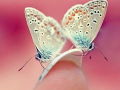 2019搞笑幽默的微信网名