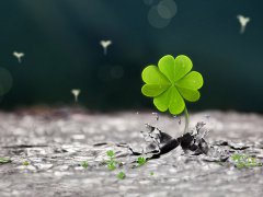 2019年伤心落寞有个性的微信昵称