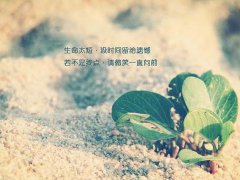 2019年适合属羊人的霸气微信网名