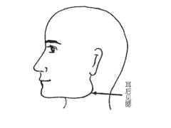耳后见腮面相