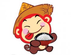 2016年火猴年出生人的五行属什么