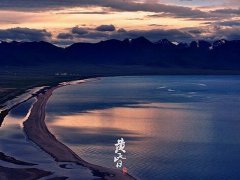 戌时出生的人的命运