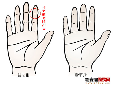 从手指指节的突出与平滑看你的性格