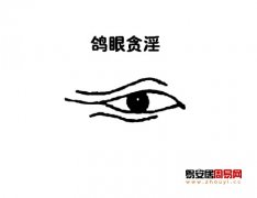 玉天玑面相之眼型：鸽眼解析