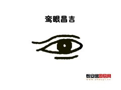 玉天玑面相之眼型：鸾眼面相图解