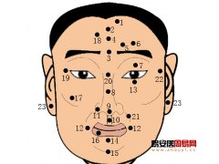 玉天玑痣相之脸上的痣图解：面痣的位置与命运图解