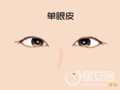 玉天玑面相之眼睛：单眼皮和双眼皮对比面相