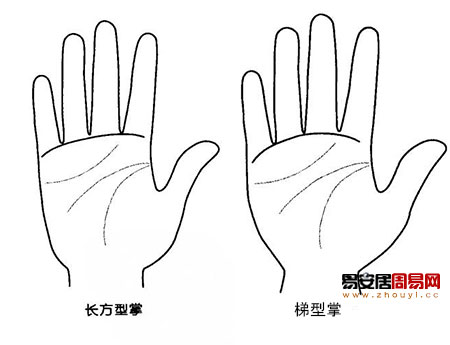 长方型梯型手掌