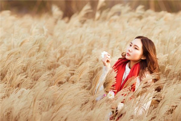 己丑日柱男命命运怎么样 异性缘一般