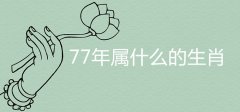 【生肖知识】77年属什么的生肖 七七年属什么生肖